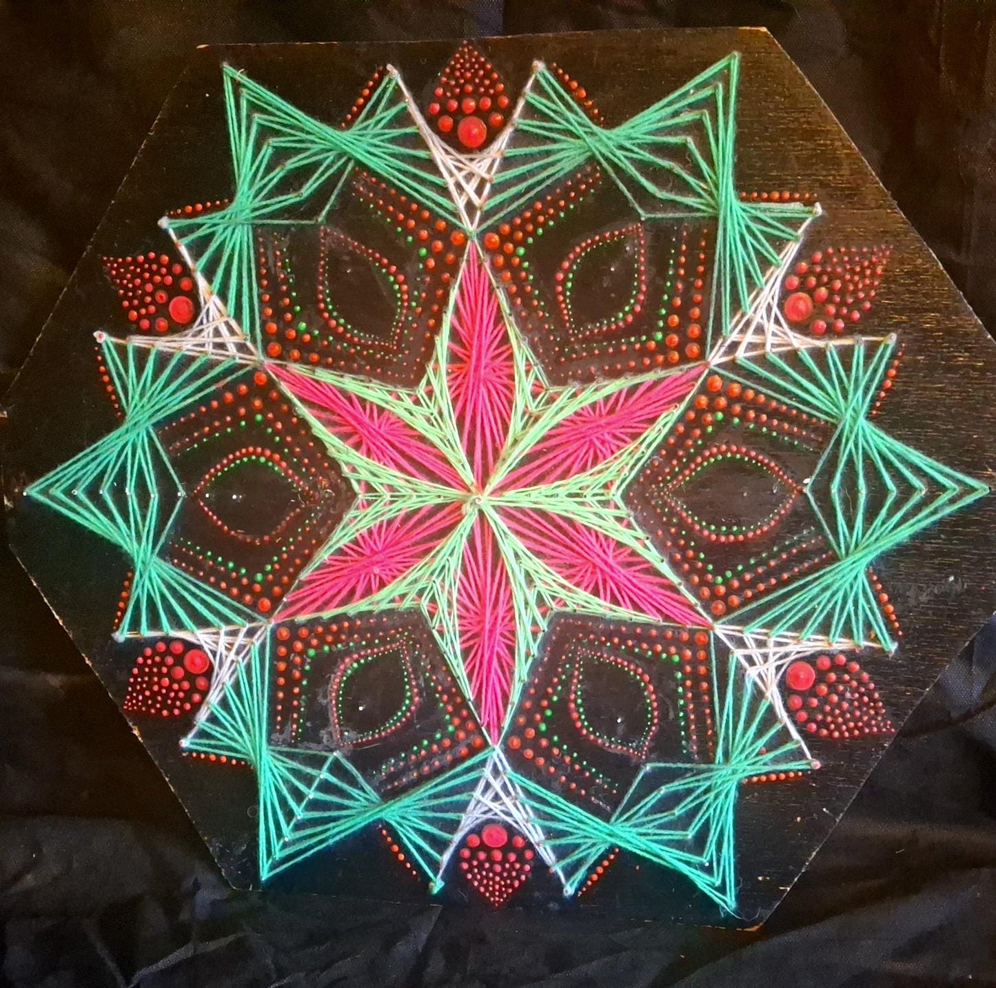 🌸 Blühender Anis 🌼