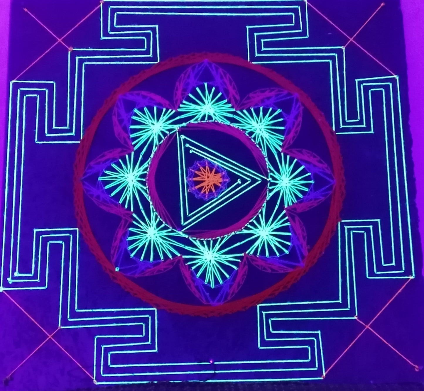 👑 Le jardin du roi 🌳