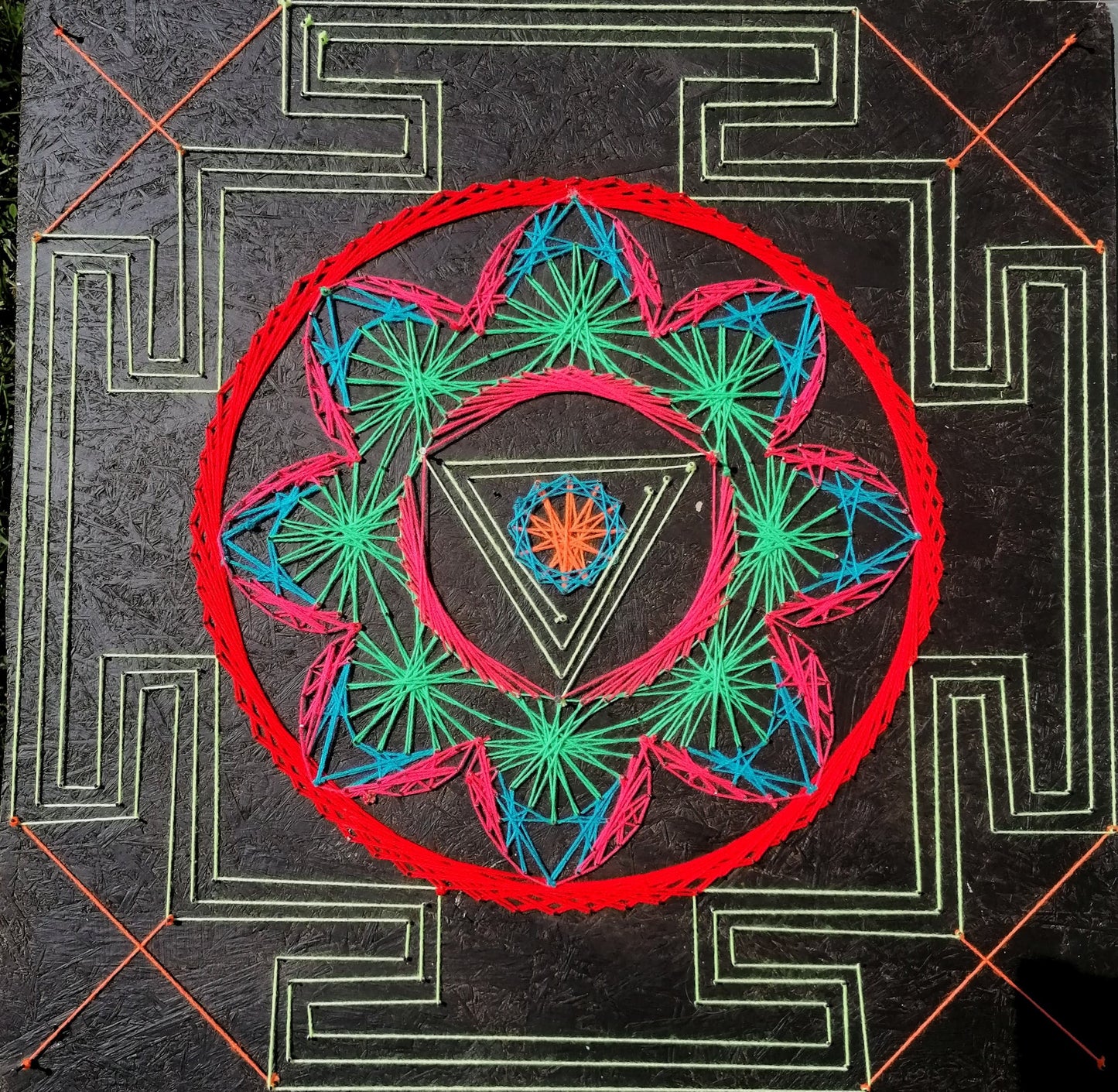 👑 Le jardin du roi 🌳