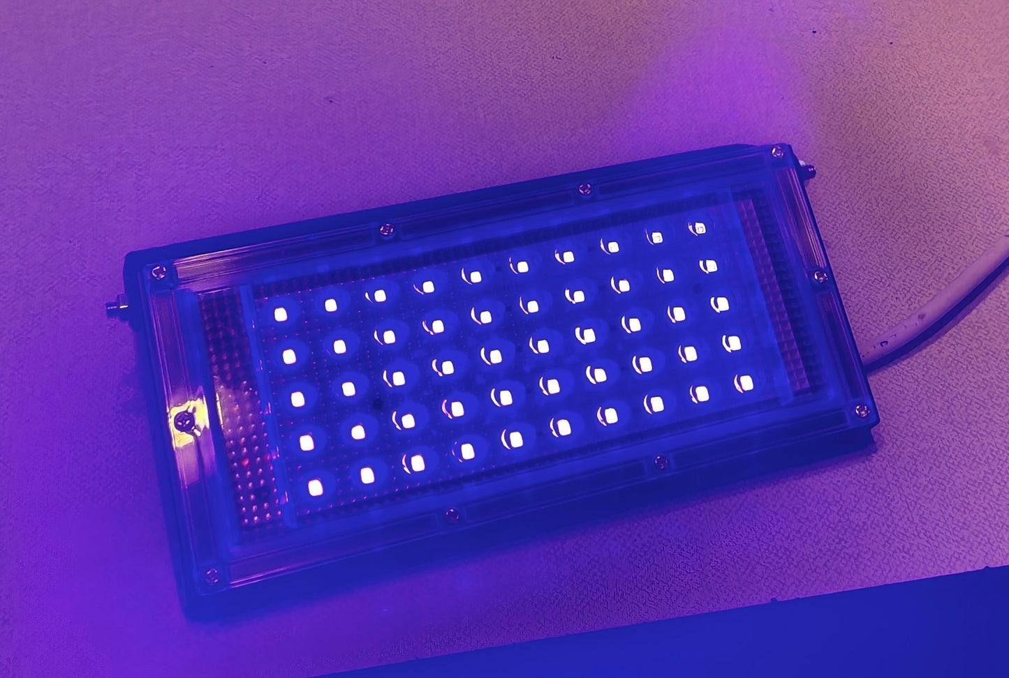 Psybell Gift - 50W UV LED 🎁