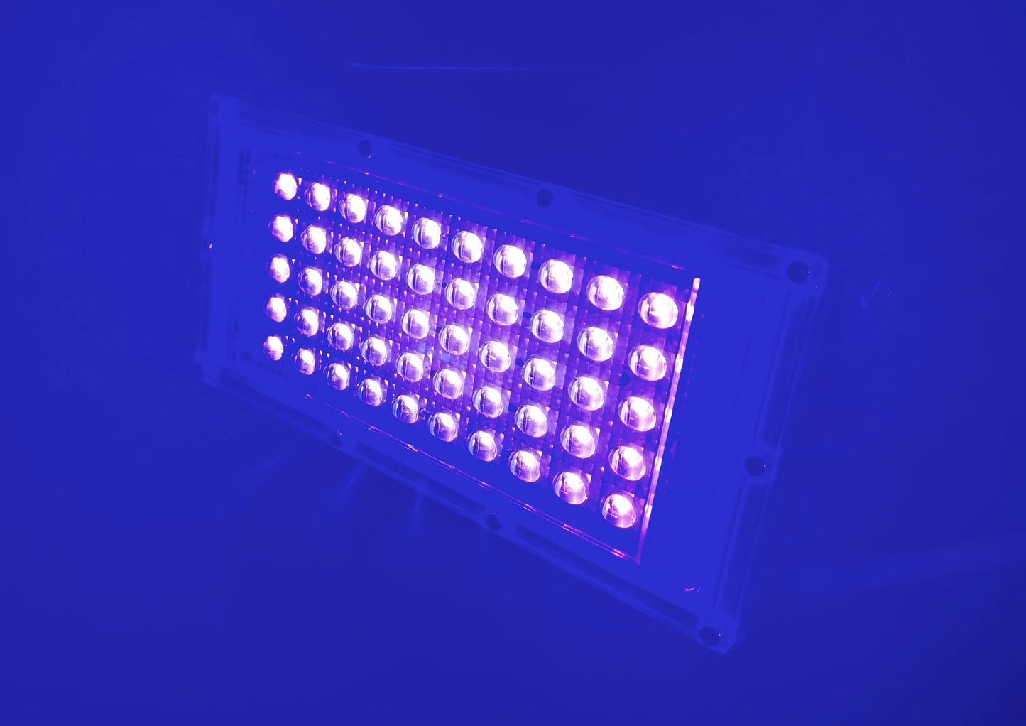 50W UV LED blacklight floodlight 395nm used to illuminate Psybell UV reactive string art installations