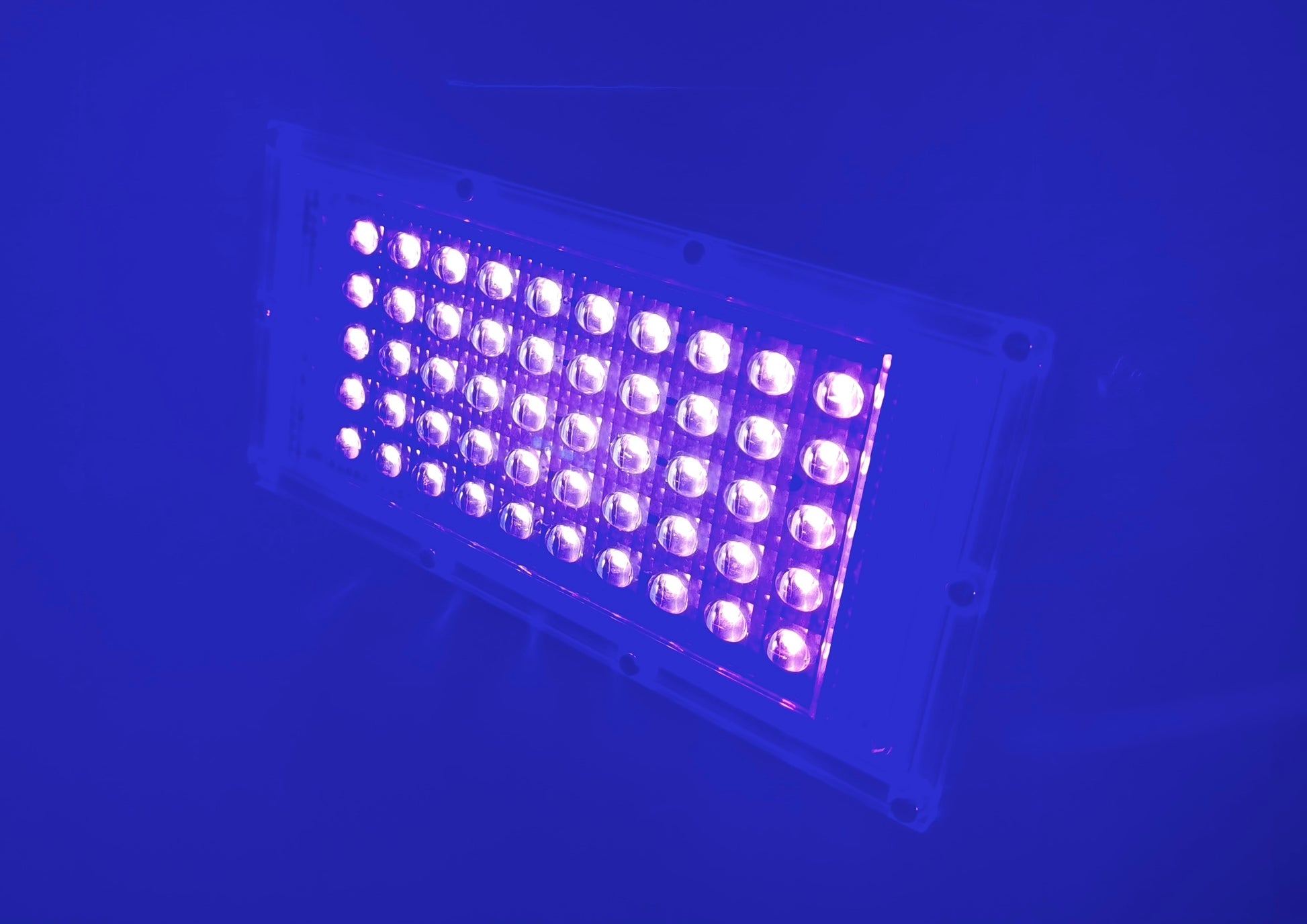 50W UV LED blacklight floodlight 395nm used to illuminate Psybell UV reactive string art installations