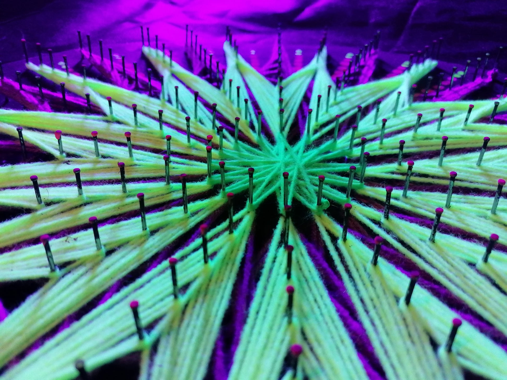 Extreme macro detail of geometric string art “Aura Flow” by Psybell showing fluorescent threads wrapped around nails forming jellyfish pattern